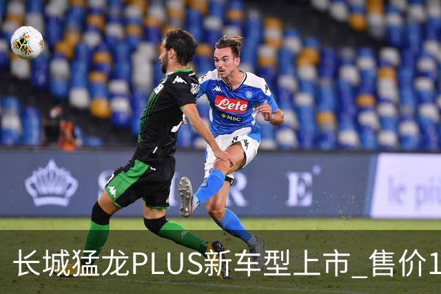 长城猛龙PLUS新车型上市 售价18.98-19.68万